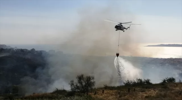 GÜNCELLEME Büyükçekmece’de ormanlık alanda çıkan yangın söndürüldü 