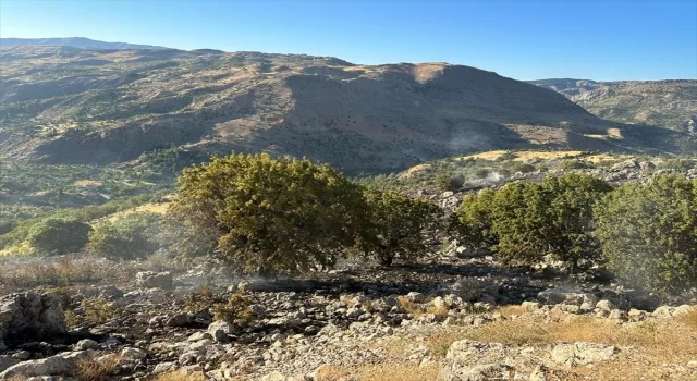 Malatya’da çıkan orman yangını söndürüldü