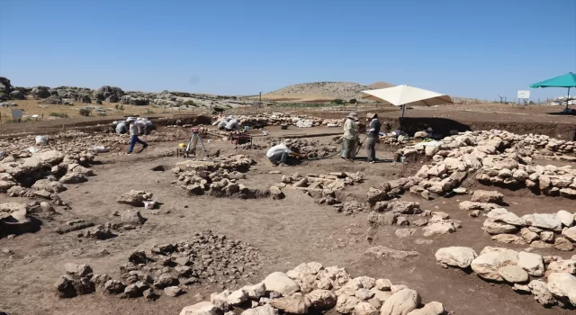 Yerleşik yaşamın izlerini barındıran Çayönü Höyüğünde 5 sandık mezar daha bulundu