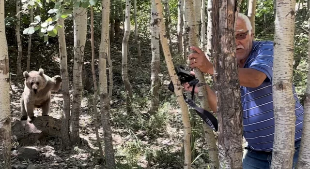 Nemrut Kalderası’na gelen ziyaretçilere bozayıları elle beslememeleri uyarısı