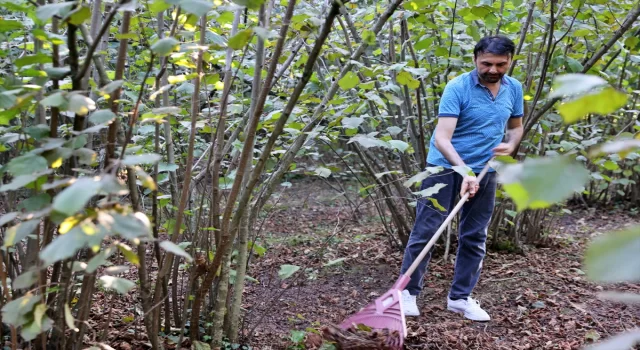 Köyünde kurduğu mini ”stüdyoda” şarkı sözü yazıp seslendiriyor