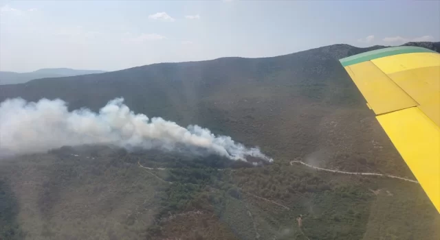 İzmir’de çıkan orman yangınına müdahale ediliyor