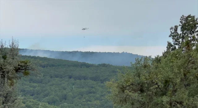 Kütahya’da çıkan orman yangınına müdahale ediliyor