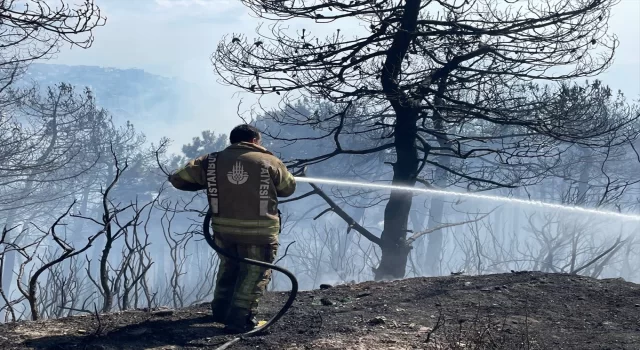 Maltepe’de ormanlık alanda yangın çıktı