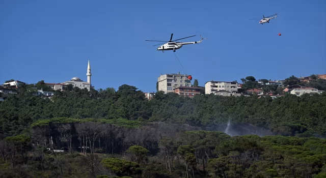 GÜNCELLEME  Maltepe’de ormanlık alanda yangın çıktı