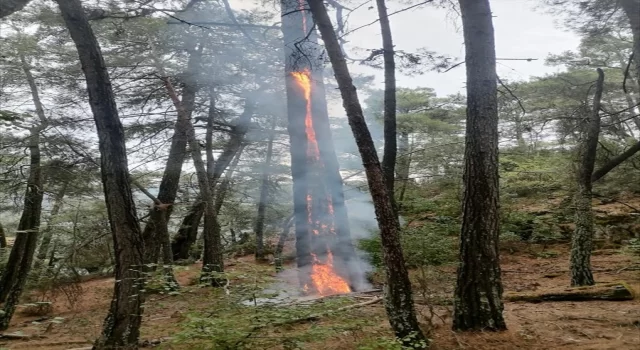 Muğla’da dün yıldırımlar 36 yerde yangına neden oldu 