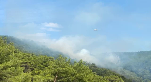 Kazdağları’nda orman yangını çıktı