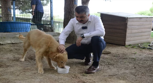 Bursa’da atık gıdalardan üretilen mamalarla, sokak hayvanları besleniyor