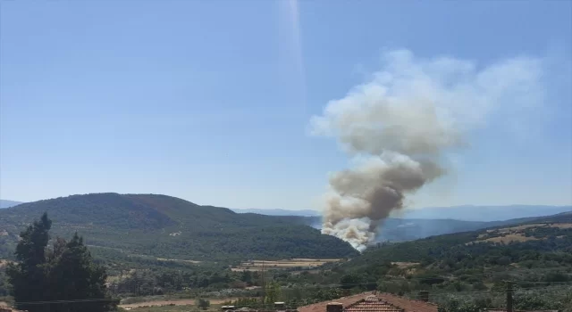 Manisa’nın Soma ilçesinde orman yangını çıktı