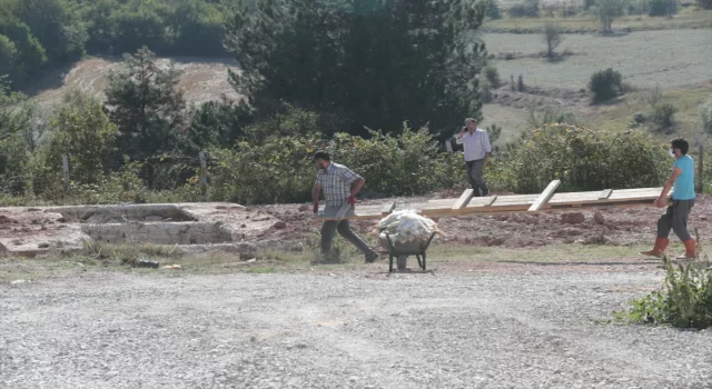 Bolu’da kuyuya düşen ayı 13 saat sonra kurtarıldı