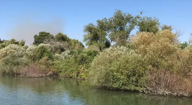 Antalya’da sazlık alanda çıkan yangın söndürüldü