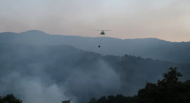 Kocaeli’de çıkan orman yangınına müdahale ediliyor