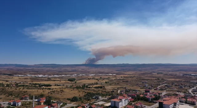 Bolu’da ormanlık alanda çıkan yangına müdahale ediliyor