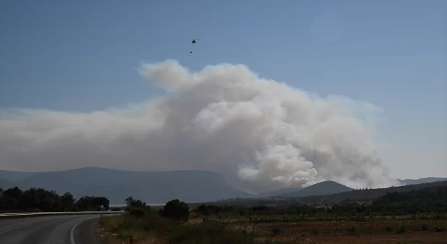 GÜNCELLEME  İzmir’in Menderes ilçesinde orman yangını çıktı