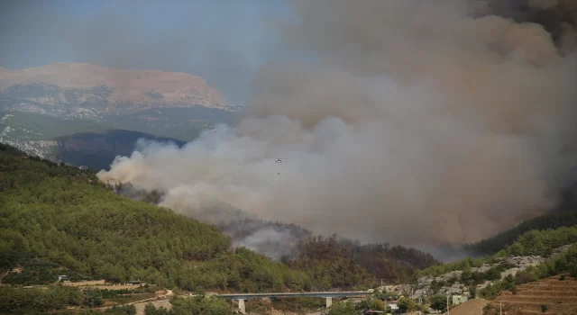 Alanya’da orman yangını çıktı