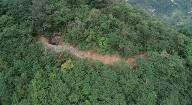 Trabzon’da define aramak için iş makinesiyle ormana yol açılmasıyla ilişkin soruşturma