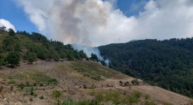 Hatay’da çıkan orman yangını kontrol altına alındı