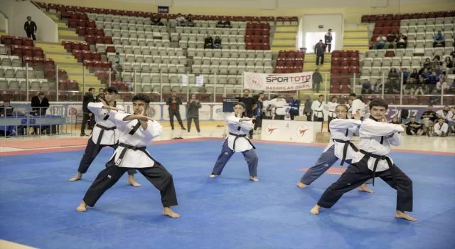 Türkiye Tekvando Poomsea Şampiyonası, Erzurum’da başladı