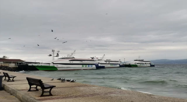 Bursaİstanbul deniz otobüsü seferlerinden bazıları iptal edildi