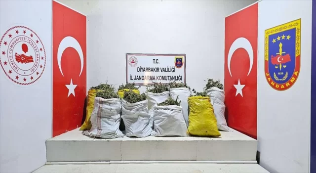 Diyarbakır’da uyuşturucu operasyonlarında 445 kilogram esrar ele geçirildi