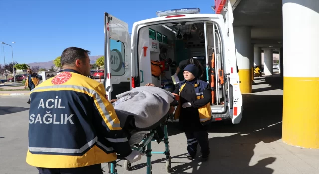 Erzincan’da ayının saldırdığı kişi yaralandı