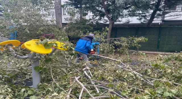 Avcılar’da parkta oynayan 3 çocuğun üzerine ağaç devrildi