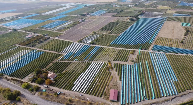 Elazığ’da üzüm bağları mavi beyaz örtüyle kaplandı