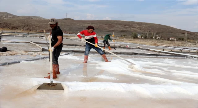 Sivas’ta 200 yıllık tuzladan çıkarılan kaynak tuzu iç ve dış piyasaya gönderiliyor