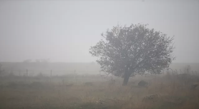 Edirne ve Kırklareli’nde sis etkili oluyor