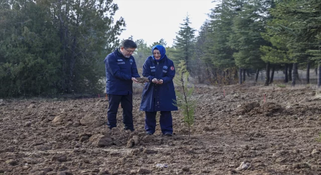 Tarım ve Orman Bakanı Yumaklı’dan ata tohumu mesajı: