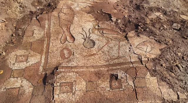 Mardin’de kurtarma kazısında deniz canlıları figürlü mozaikler bulundu