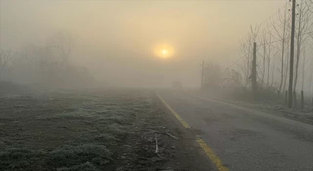 Bolu, Düzce ve Karabük’te sis etkili oldu