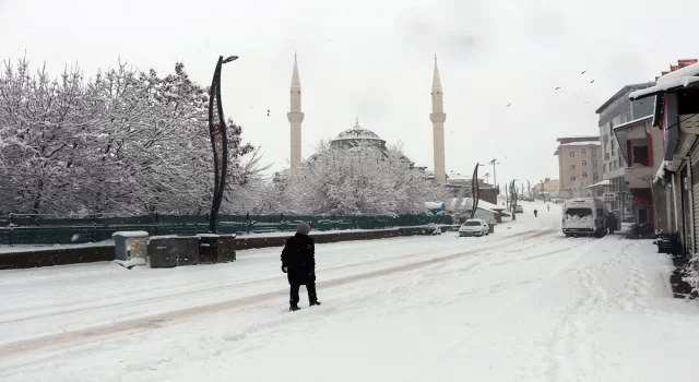 Bingöl’de kar sebebiyle 10 köy yolu ulaşıma kapandı