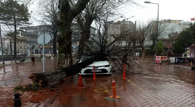 Bartın’da fırtına sebebiyle çatılar uçtu, otomobilin üzerine ağaç devrildi