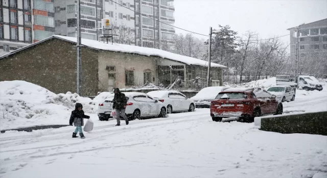 Van, Muş ve Bitlis’te kar sebebiyle 357 yerleşim yerinin yolu kapandı