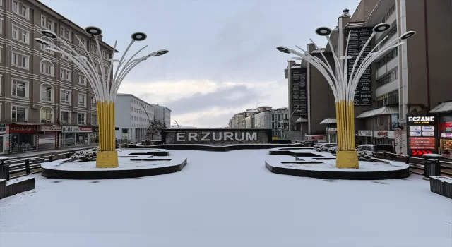 Erzurum, Ardahan, Ağrı ve Tunceli’de kar yağışı etkili oldu