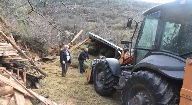 Artvin’de heyelanda çöken ahırdaki iki büyükbaş telef oldu