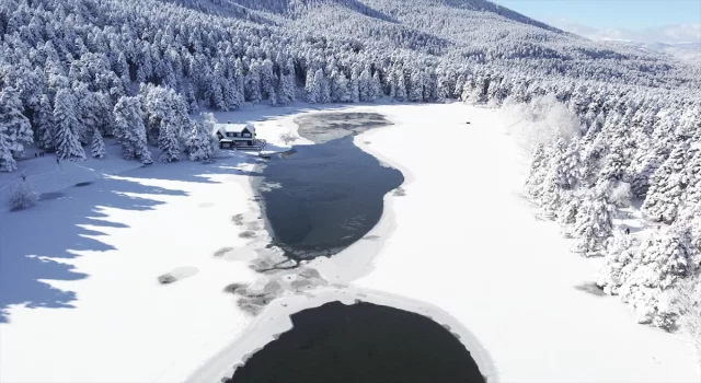 Gölcük Tabiat Parkı’ndaki gölün yüzeyi buz tuttu