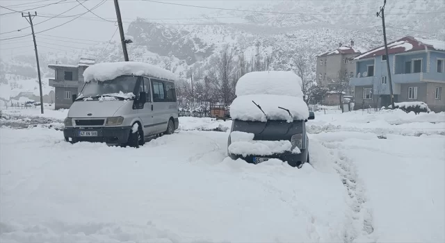 Şırnak’ta kar ve sis etkili oldu 