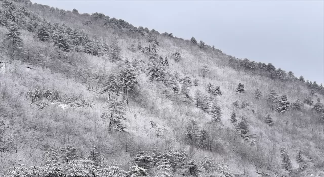 Kastamonu’da ormanlar beyaz örtüyle kaplandı