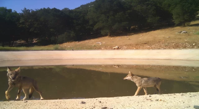 OYAK Çimento, Antalya’daki üretim sahasını yeniden doğaya kazandırıyor