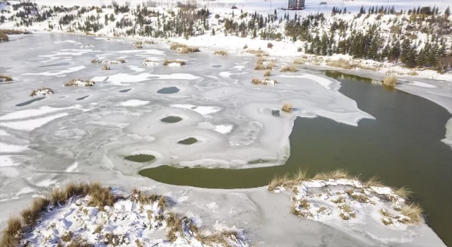 Yüzeyi buzla kaplanan Ahlat’taki ”Kuş Cenneti” dronla görüntülendi