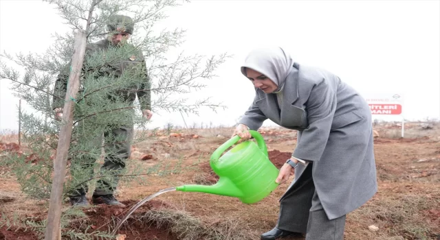 Aile ve Sosyal Hizmetler Bakanı Göktaş, ”Deprem Şehitleri Ormanı”nın ilk fidanını dikti: