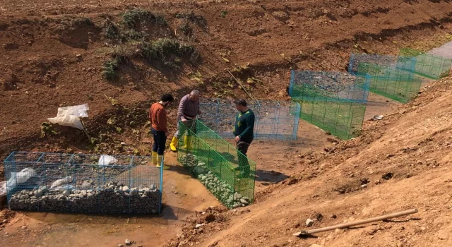 Perdeli yapay sulak alan sistemi tarımda su israfını azaltıyor