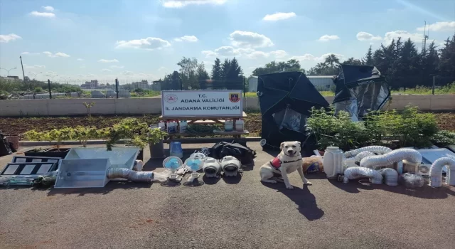 Adana’da iklimlendirme sistemiyle kenevir yetiştiren 5 şüpheli yakalandı