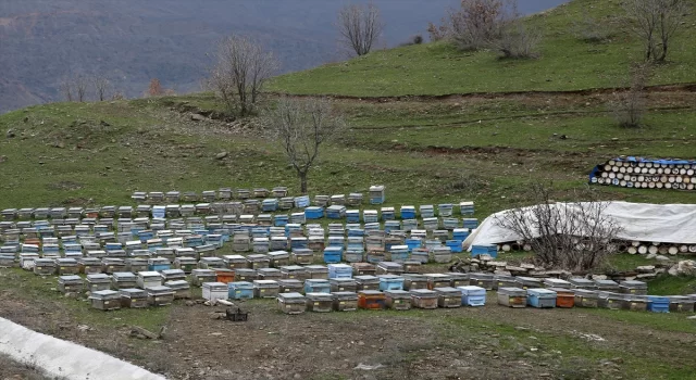 Bitlis balı, Paris’teki yarışmada ”Altın Bal” ödülü aldı