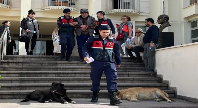 Bodrum’da 6 köpek ve 3 kedinin ölümüyle ilişkin gözaltına alınan sanık tutuklandı