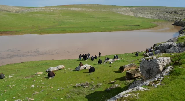 Şanlıurfa’da dereyi geçerken yükselen suya kapılan çocuğu arama çalışmaları sürüyor