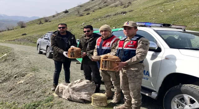 Bitlis’te keklik avlayanlara 106 bin 135 lira para cezası uygulandı