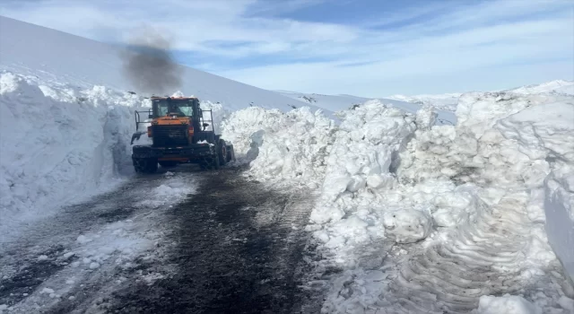 Şırnak’ta 2 bin 230 rakımlı Tanin Geçidi’nde kar temizleme çalışması devam ediyor